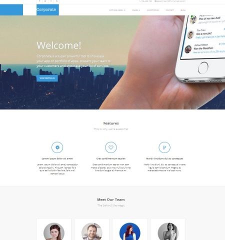 WordPress Themes for Business
