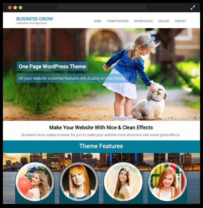 best wordpress themes for small business